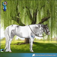 Horse Color:Powder White Liver Chestnut Mushroom Tobiano Rabicano