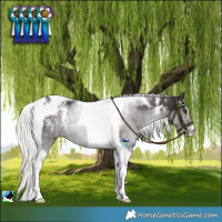Horse Color:Powder White Liver Chestnut Mushroom Tobiano Rabicano 