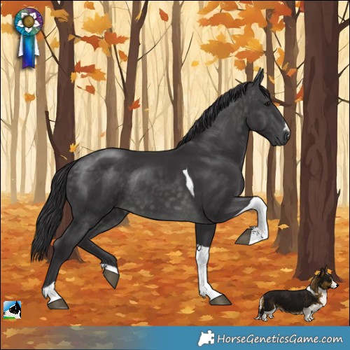 Horse Color:Platinum Buckskin Tobiano Rabicano 