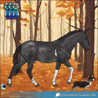 Horse Color:Platinum Buckskin Tobiano Rabicano 