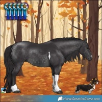 Horse Color:Platinum Buckskin Tobiano Rabicano