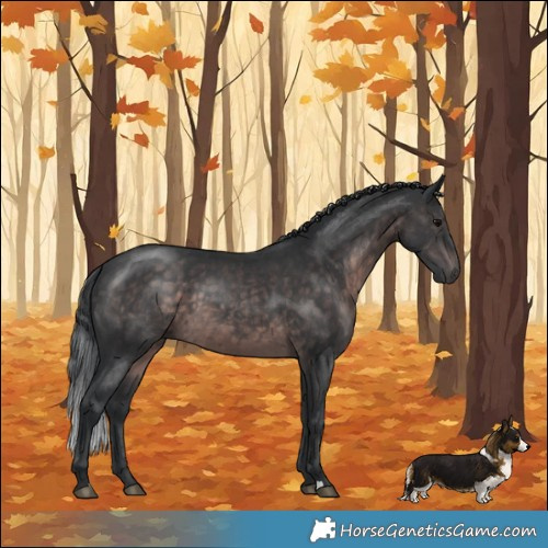 Horse Color:Platinum Brown 