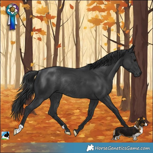 Horse Color:Platinum Black Rabicano