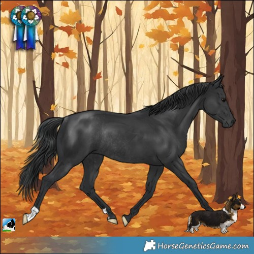 Horse Color:Platinum Black Rabicano