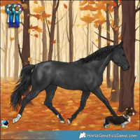 Horse Color:Platinum Black Rabicano 