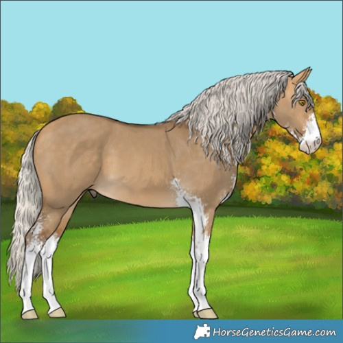 Horse Color:Silver Buckskin Dun Sabino 