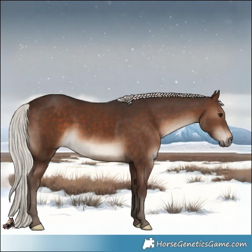 Horse Color:Silver Bay