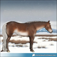 Horse Color:Silver Bay 