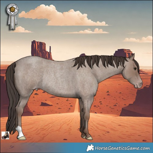 Horse Color:Classic Champagne Roan Rabicano 