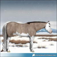 Horse Color:Gray Classic Champagne Roan Splash 