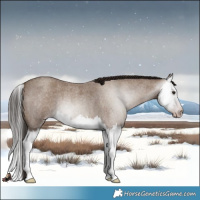 Horse Color:Gray Classic Champagne Roan Splash