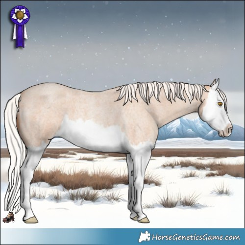 Horse Color:Silver Classic Champagne Roan Splash 