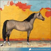 Horse Color:Gray Bay Dun 