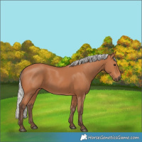 Horse Color:Silver Bay 