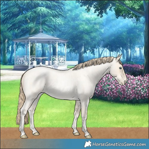 Horse Color:Buckskin Roan Pearl  and Buckskin Roan Pearl 