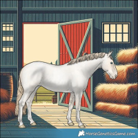 Horse Color:Buckskin Roan Pearl and Buckskin Roan Pearl