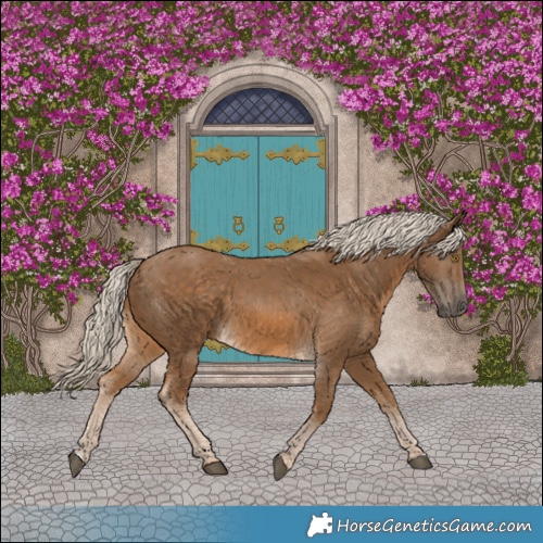 Horse Color:Chocolate Palomino 