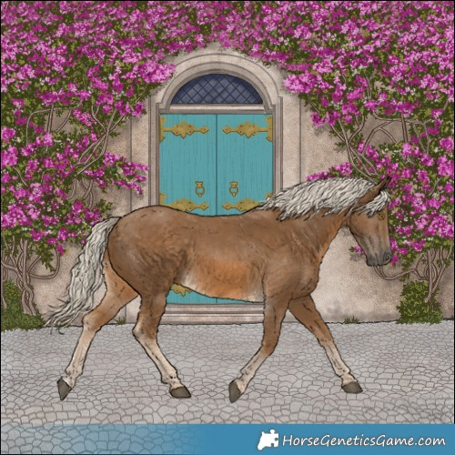 Horse Color:Chocolate Palomino