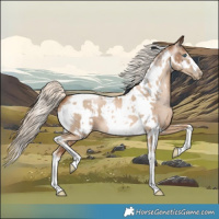 Horse Color:Chocolate Palomino Pearl Tobiano Frame  and Gray Chocolate Palomino Pearl Tobiano Frame 
