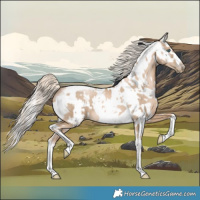 Horse Color:Chocolate Palomino Pearl Tobiano Frame  and Gray Chocolate Palomino Pearl Tobiano Frame 