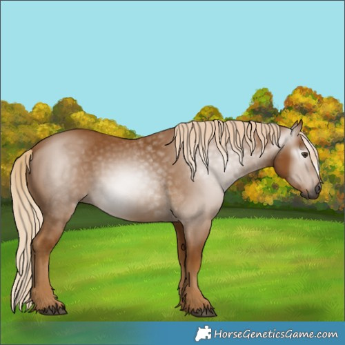 Horse Color:Gray Palomino