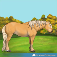 Horse Color:Gray Palomino Dun