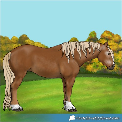 Horse Color:Gray Palomino