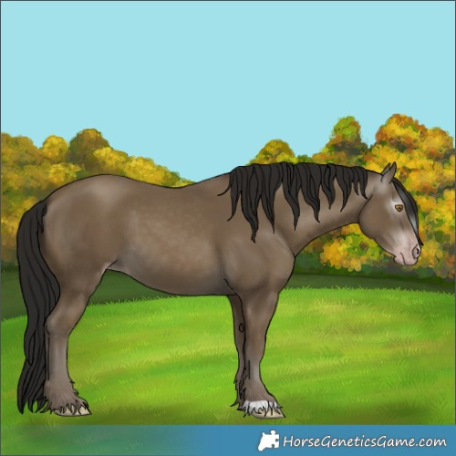 Horse Color:Gray Classic Cream Champagne 