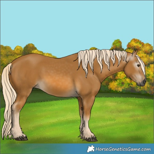 Horse Color:Gray Palomino 
