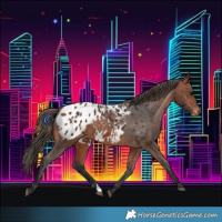 Horse Color:Bay Blanket