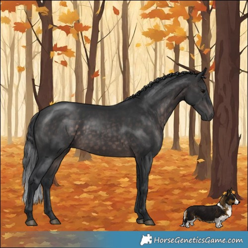 Horse Color:Platinum Brown Rabicano 