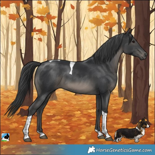 Horse Color:Platinum Black Tobiano