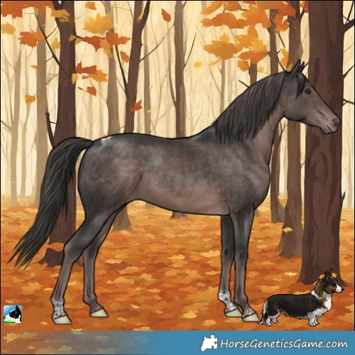 Horse Color:Platinum Liver Chestnut Tobiano 