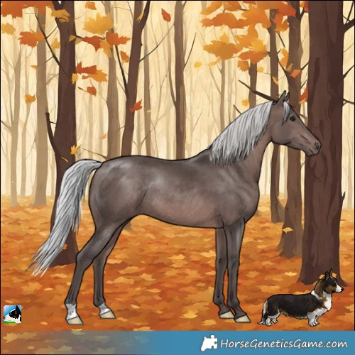 Horse Color:Platinum Silver Brown Rabicano 