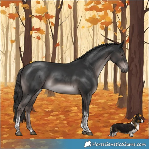 Horse Color:Platinum Liver Chestnut Tobiano 