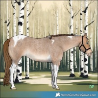 Horse Color:Gray Perlino Roan Tobiano 