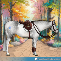 Horse Color:Gray Brown Tobiano Rabicano 