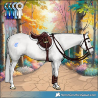 Horse Color:Gray Brown Tobiano Rabicano