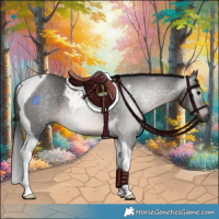 Horse Color:Gray Brown Tobiano Rabicano