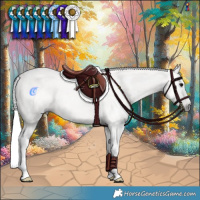 Horse Color:Gray Brown Tobiano Rabicano 