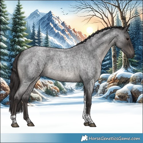 Horse Color:Smoky Blue Roan Tobiano 