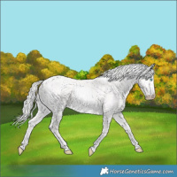 Horse Color:Cremello Dun 
