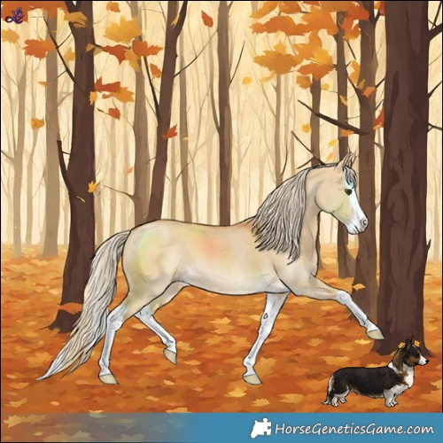 Horse Color:Palomino Dun Splash