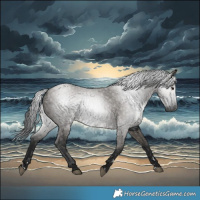 Horse Color:Gray Grullo