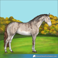 Horse Color:White Spotted Liver Red Dun Rabicano Brindle