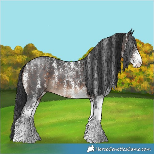 Horse Color:Powder White White Spotted Brown 