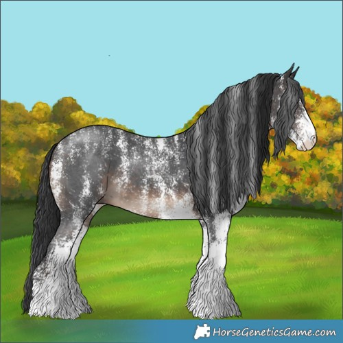 Horse Color:Powder White White Spotted Brown 