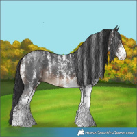 Horse Color:Powder White White Spotted Brown