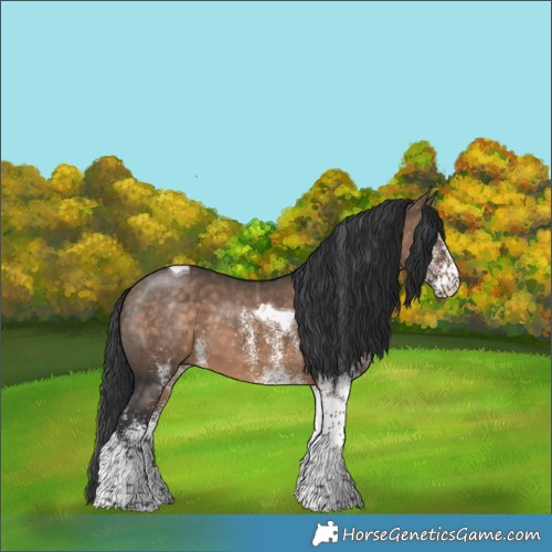 Horse Color:White Spotted Brown Dun Tobiano