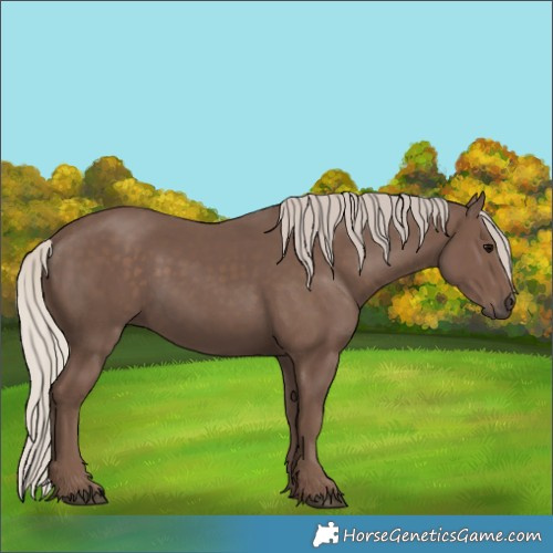 Horse Color:Silver Black 